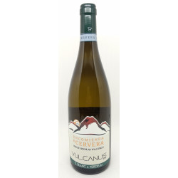 Vulcanus S. Blanc & Verdejo